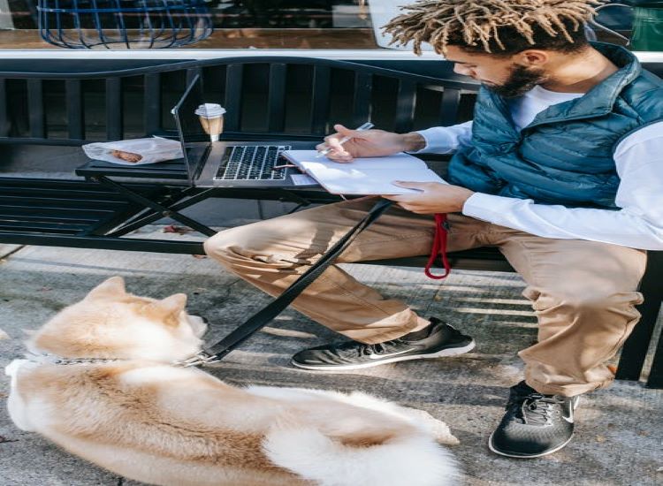 Social Media Marketing Business Social Media Marketing Business